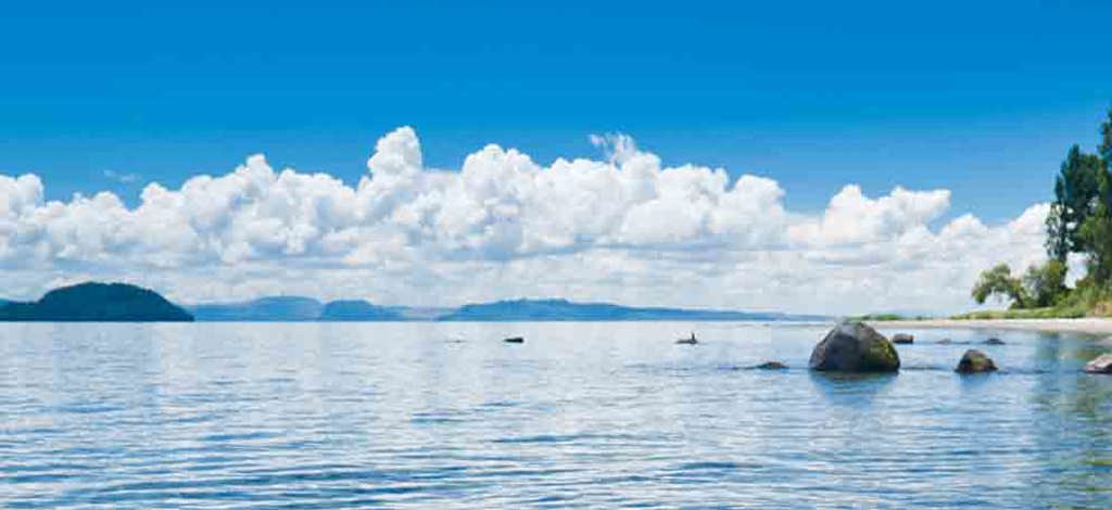 Hotels in Turangi